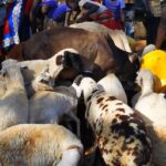 LIVELIHOODS AND ECONOMIC EMPOWERMENT