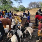 Promote and Encourage Social Cohesion through Peacebuilding Solutions Sustainable Integrated Development Solutions (SIDS) plays a critical role in advancing peace and social cohesion in communities affected by socio-economic disparities, environmental vulnerabilities, and inter-group tensions.