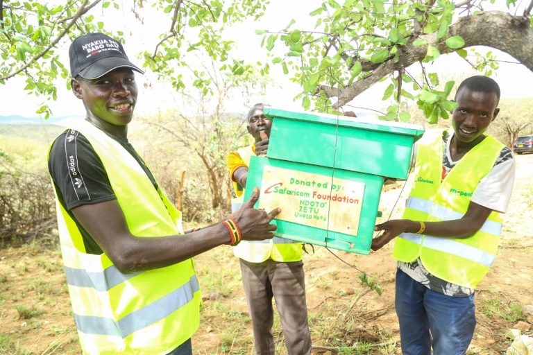 Livelihoods and Economic Empowerment