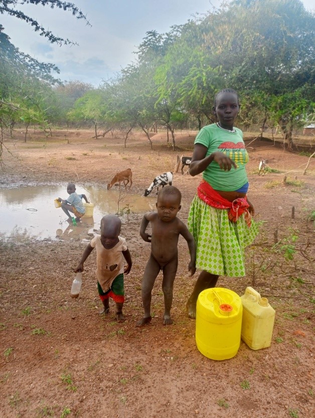 About Sustainable Integrated Development Solutions (SIDS)